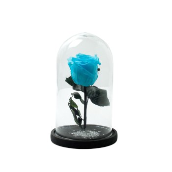 Beauty And The Beast  Baby Blue Rose Small Campana